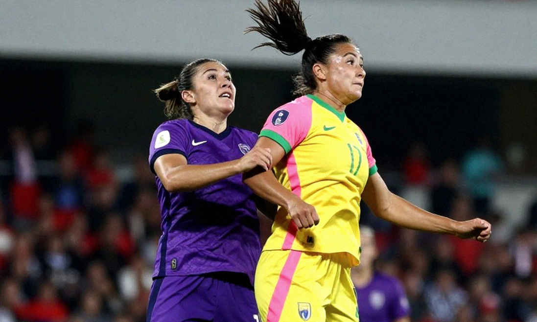Vietnam's Naturalized Stars: Who Pays for the Shortcut? Vietnam's Naturalized Stars: Who Pays for the Shortcut?