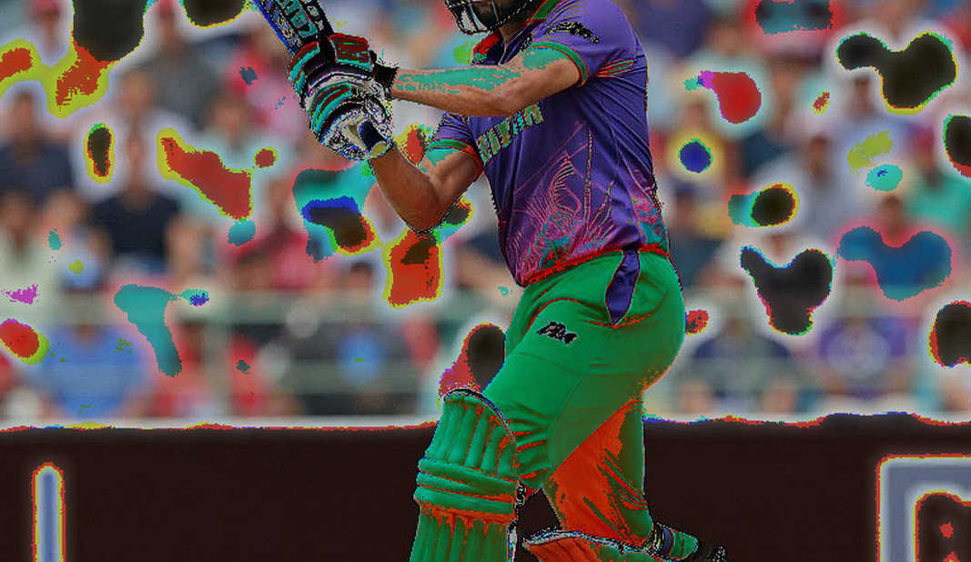রাওয়ালপিন্ডির টস বিভ্রাট: যে প্রশ্নটি সংবাদদেহে লেখা হলো না