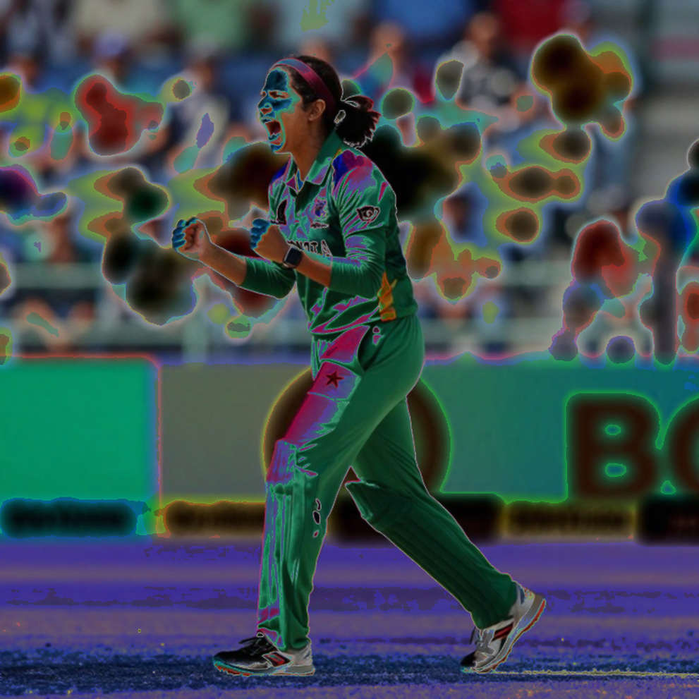 The Ledger of Empty Cells: Where Truth Goes Silent in Cricket's Data Economy The Ledger of Empty Cells: Where Truth Goes Silent in Cricket's Data Economy